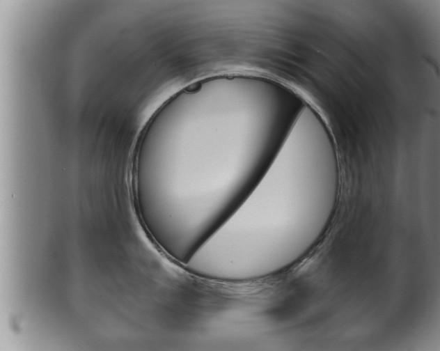 X0000100371007200806060757