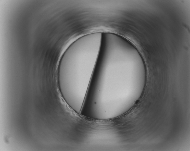 X0000100371008200806060757