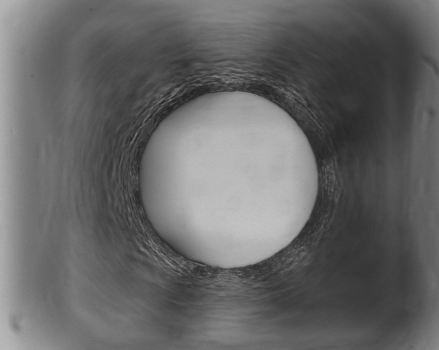 X0000100371009200806060757