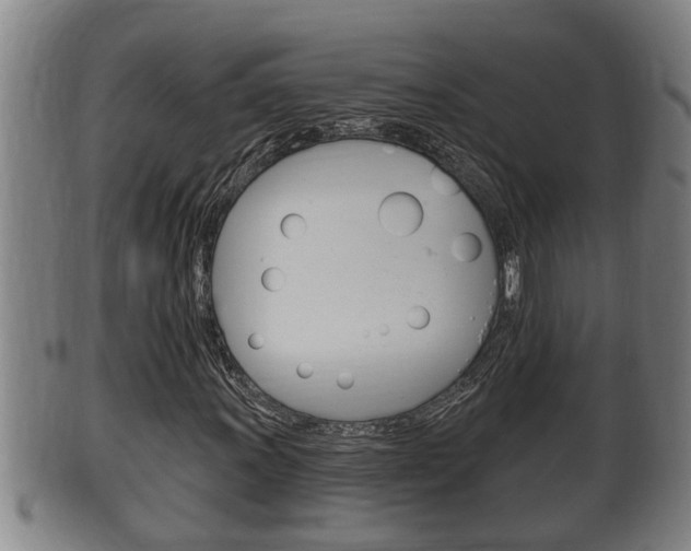 X0000100371011200806060757