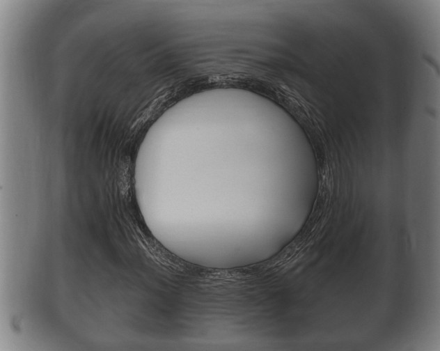 X0000100371012200806060757