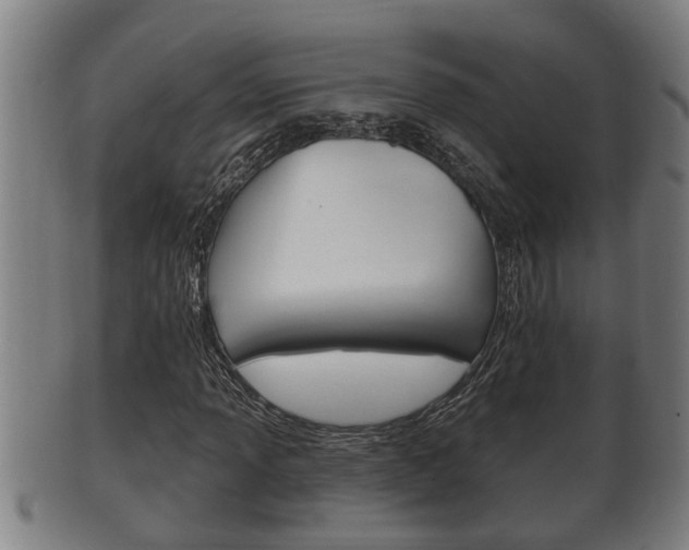 X0000100371013200806060757