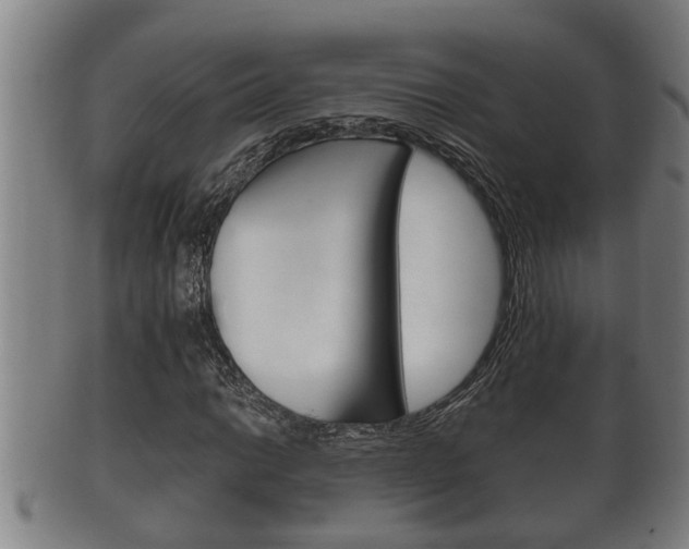X0000100371014200806060757