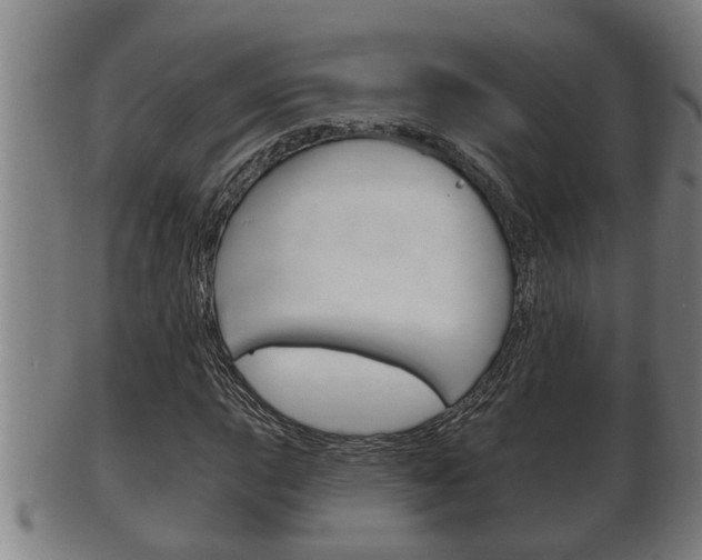 X0000100371015200806060757