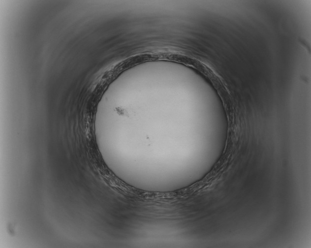 X0000100371016200806060757