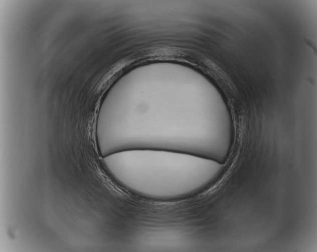 X0000100371017200806060757