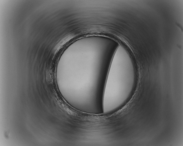 X0000100371018200806060757