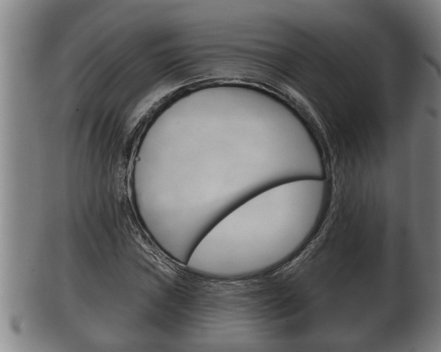 X0000100371019200806060757