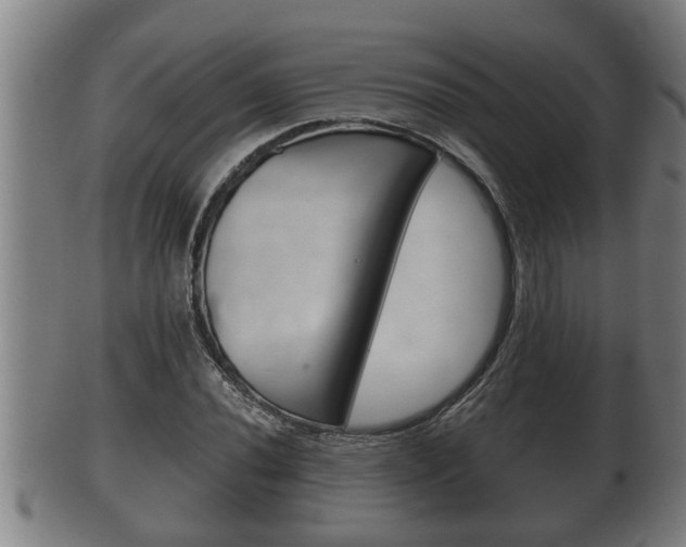 X0000100371020200806060757
