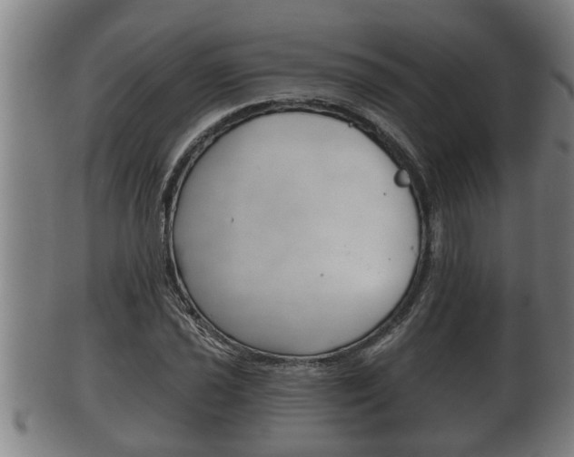 X0000100371021200806060757
