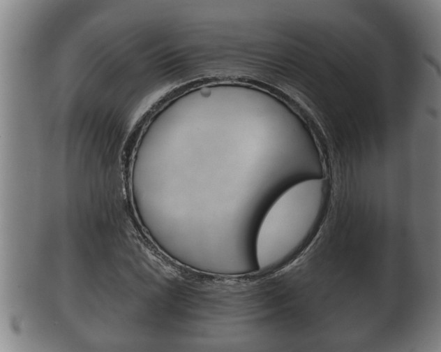 X0000100371022200806060757