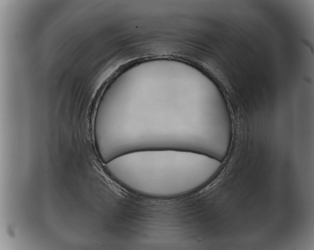 X0000100371023200806060757