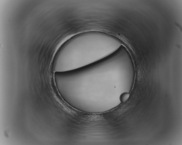 X0000100371024200806060757