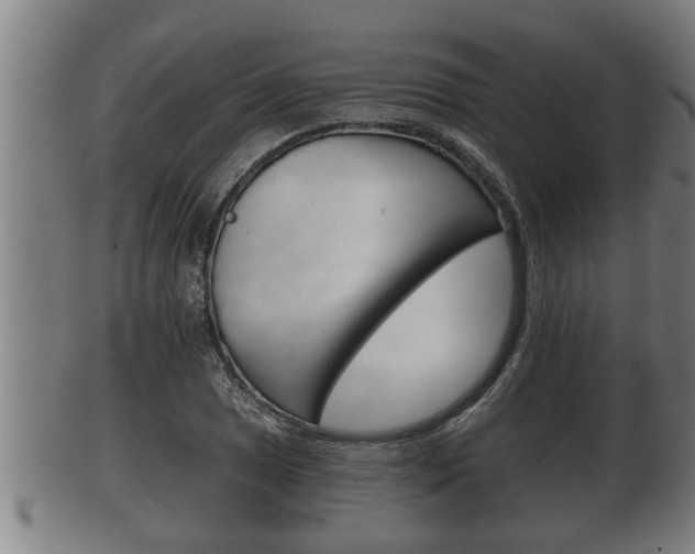 X0000100371025200806060757