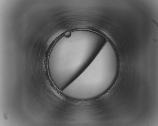 X0000100371026200806060757
