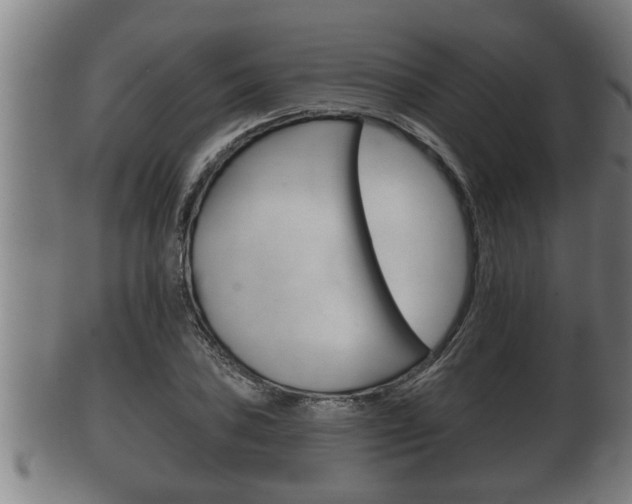X0000100371027200806060757