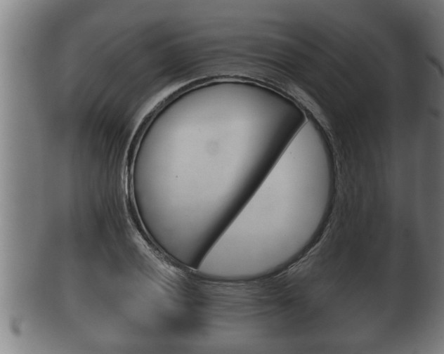 X0000100371028200806060757
