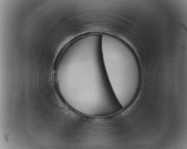 X0000100371029200806060757