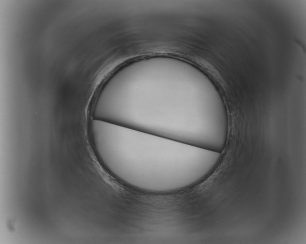 X0000100371031200806060757
