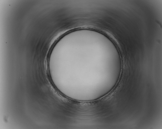 X0000100371032200806060757