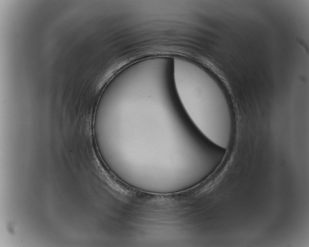 X0000100371033200806060757