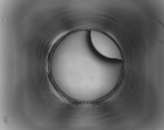 X0000100371034200806060757