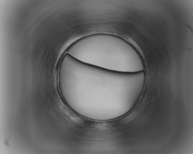 X0000100371035200806060757