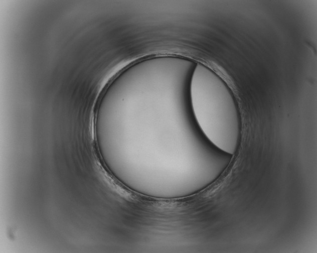 X0000100371036200806060757