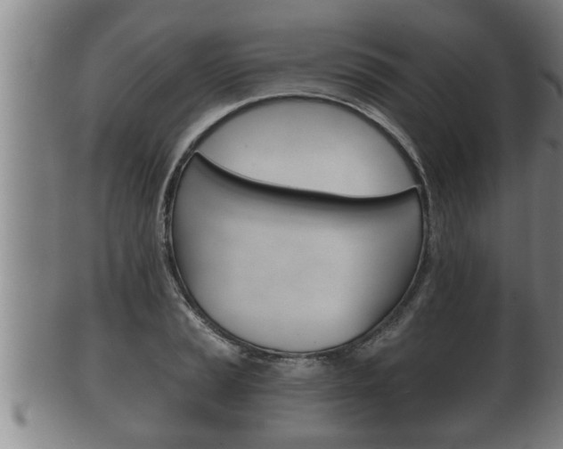 X0000100371037200806060757