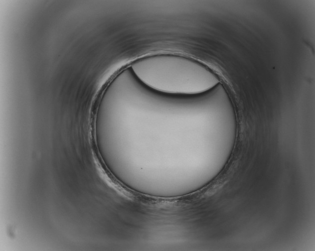 X0000100371038200806060757