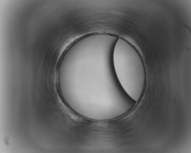 X0000100371040200806060757