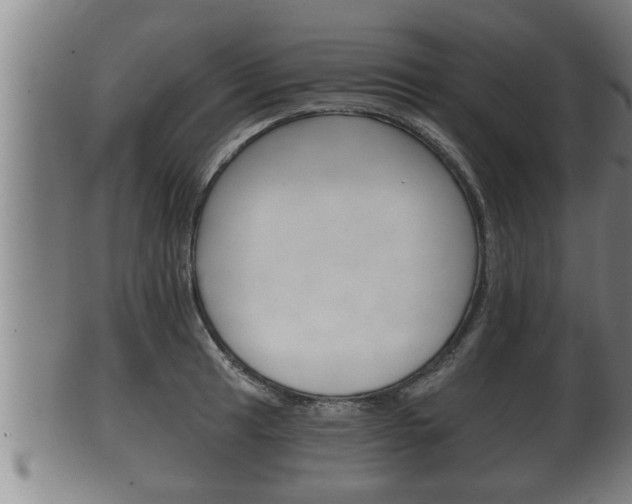 X0000100371041200806060757