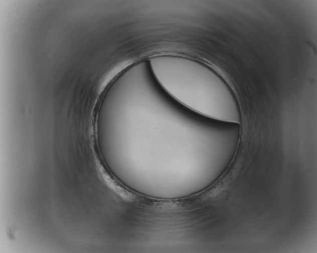 X0000100371042200806060757