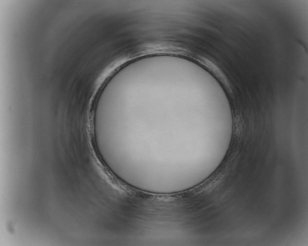 X0000100371043200806060757