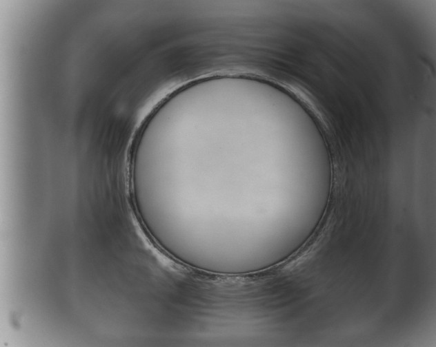 X0000100371046200806060757