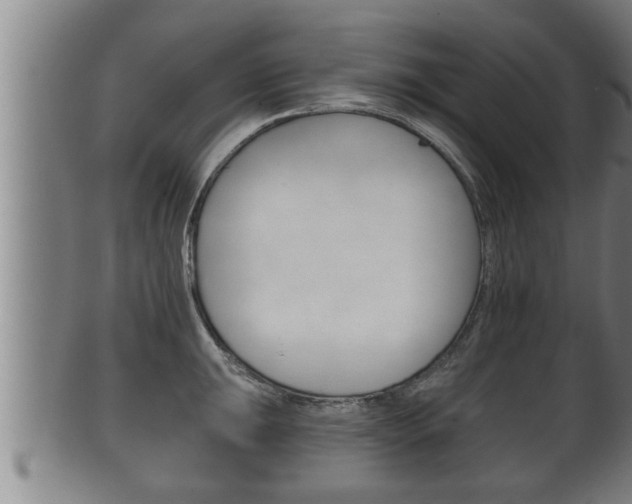 X0000100371047200806060757