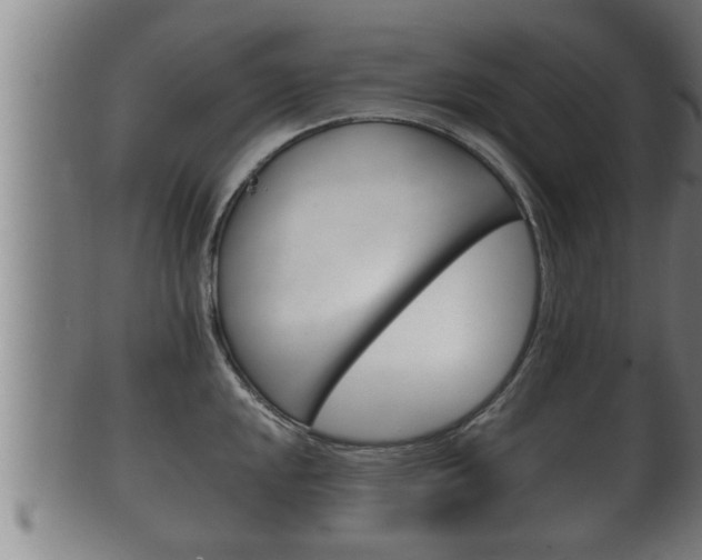 X0000100371048200806060757