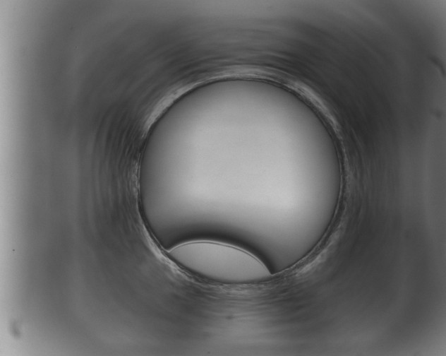 X0000100371049200806060757