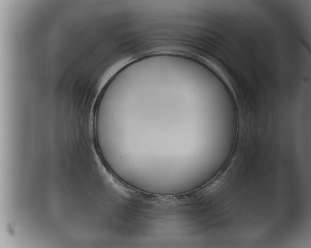 X0000100371050200806060757