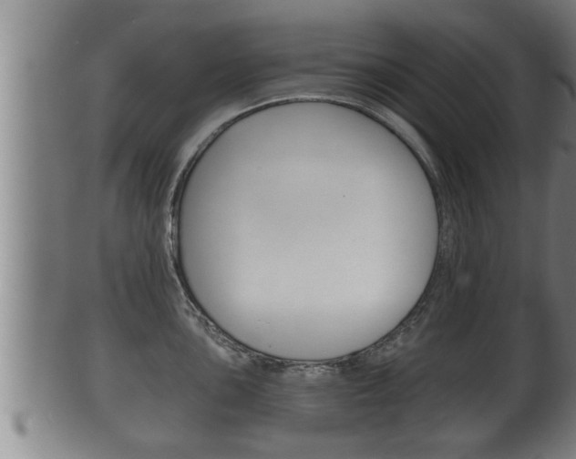 X0000100371051200806060757