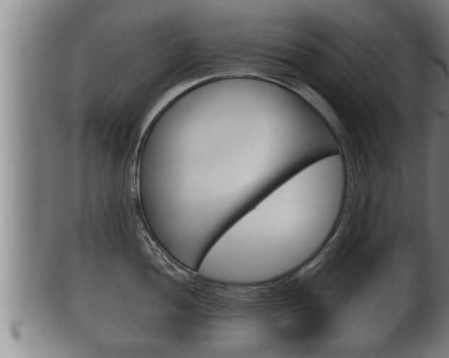 X0000100371052200806060757