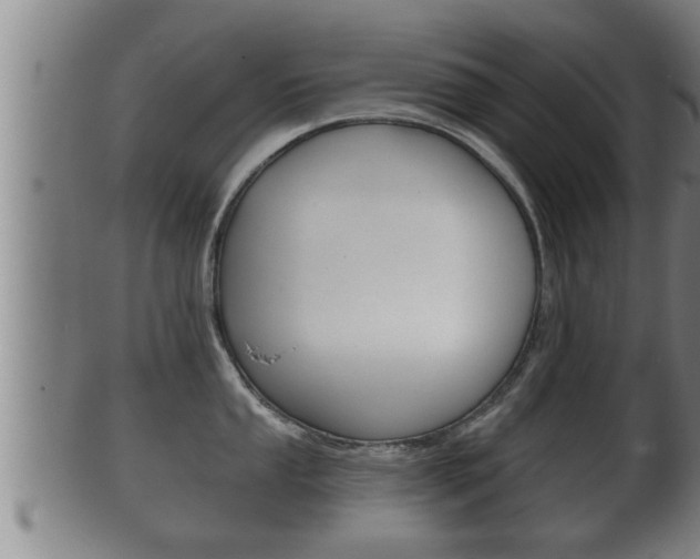 X0000100371053200806060757
