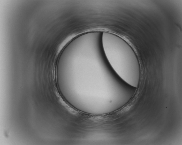 X0000100371054200806060757