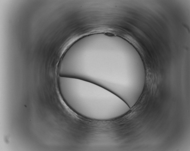 X0000100371055200806060757