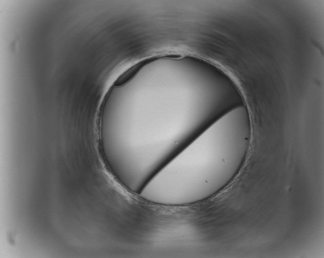 X0000100371056200806060757