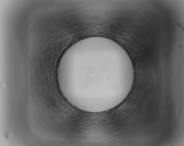 X0000100371057200806060757