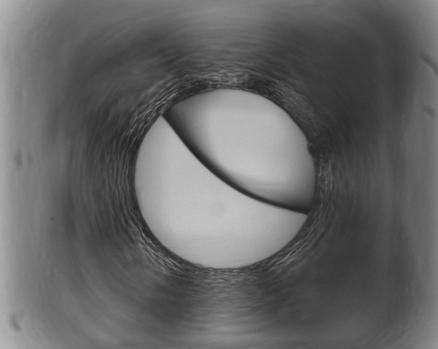 X0000100371058200806060757