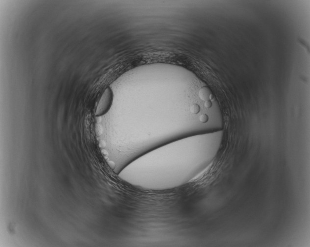 X0000100371059200806060757