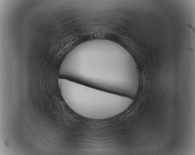 X0000100371060200806060757