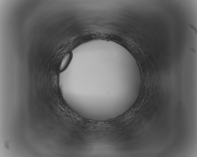 X0000100371061200806060757